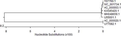 Difference Analysis Between Canine Adenovirus Types 1 And 2